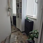 Valentina 迪斯诺